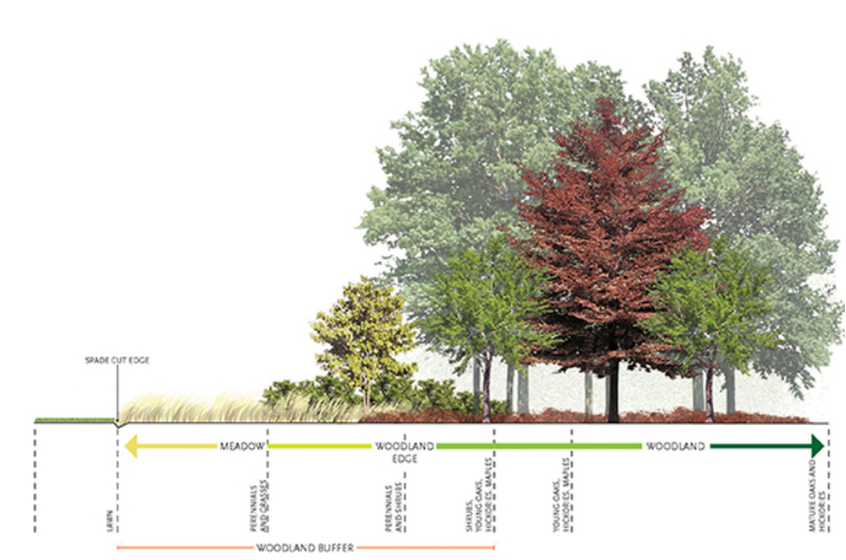 Spread from the Harlem Township overlay zoning district regulations